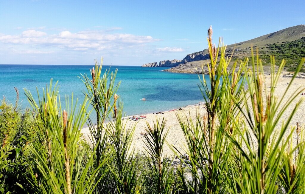 cala mesquida, widok na plażę i morze, majorka