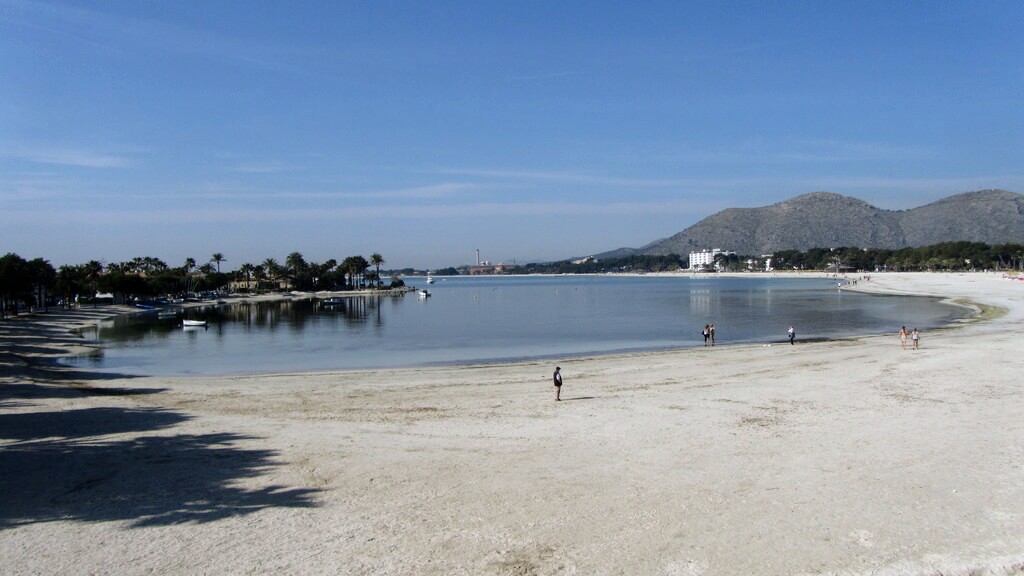 Plaża, Port d'Alcúdia