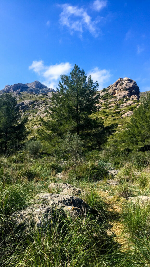 widok na góry, majorka, cami de ses coves blanques, piesze wycieczki