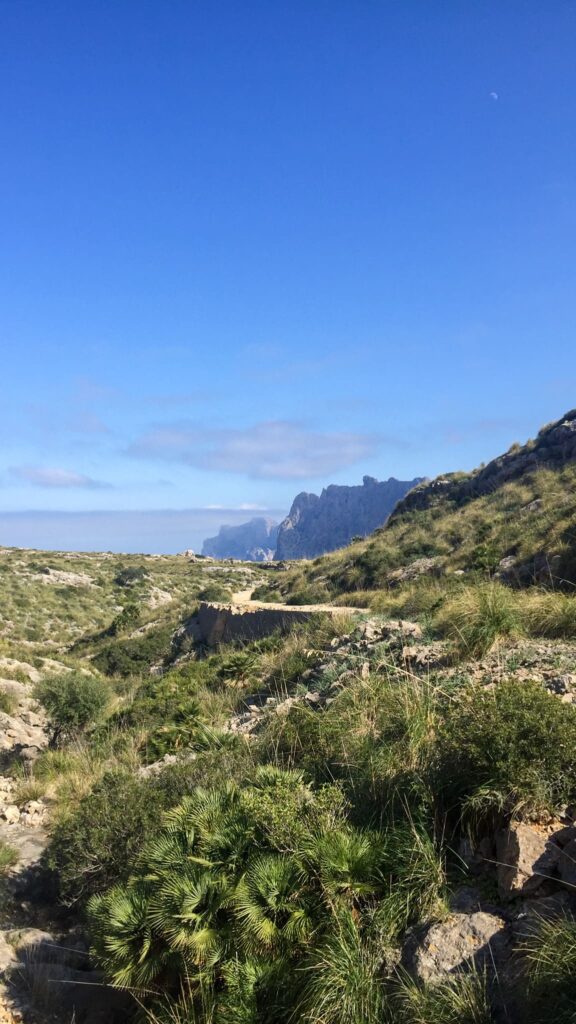 widok na góry i morze, cami de ses coves blanques, cala san vicente, majorka
