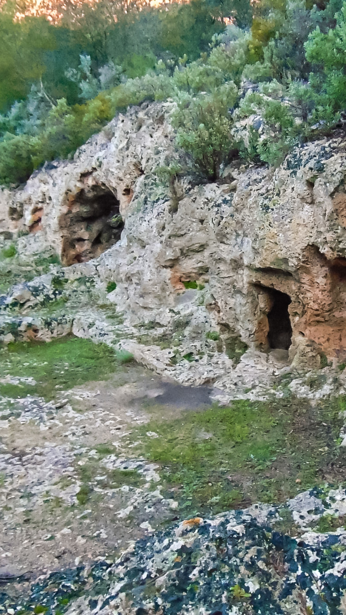 jaskinie  l'Alzinaret, cala san vicente, majorka