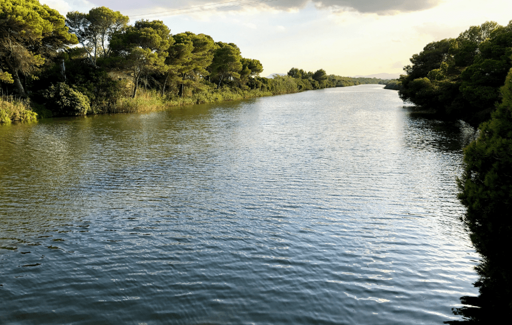 S'Albufera, Majorka