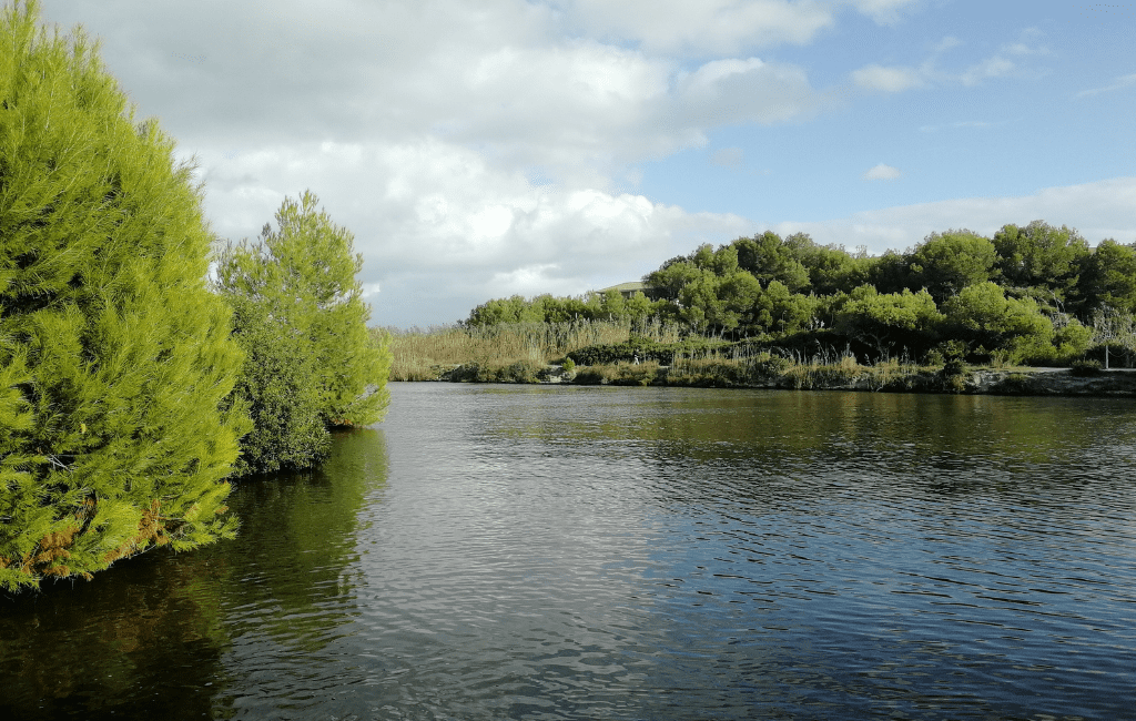 Canal de Siurana, Playa de Muro, Majorka
